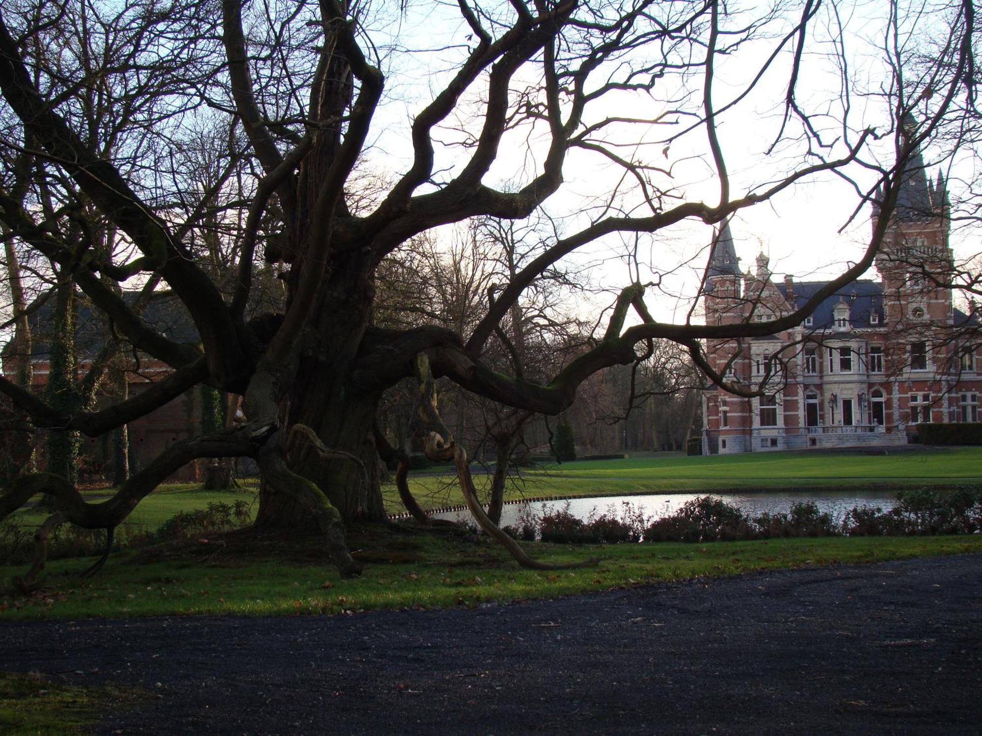 B&B Sogni D'Oro Lovendegem Екстер'єр фото